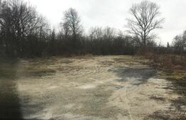 Teren Intravilan, 1500 mp la Sosea Principală–Gata de construit, Gura Ocnitei