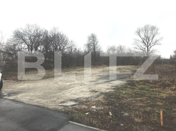 Teren de vânzare Gura Ocnitei - 188050TV | BLITZ Târgoviște | Poza2