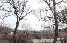 Casuta de vacanță, 21 mp, zonă submontană Moroienim DB