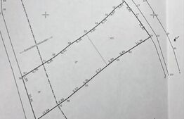 Teren de vânzare Sud - 191079TV | BLITZ Târgoviște | Poza2