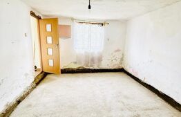 Casă bătrânească cu teren generos - VACARESTI