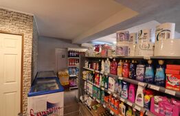 Spațiu comercial + teren, 163 mp utili, 983 mp, Mătăsaru/Poroinica