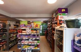 Spațiu comercial + teren, 163 mp utili, 983 mp, Mătăsaru/Poroinica