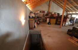 Spațiu comercial + teren, 163 mp utili, 983 mp, Mătăsaru/Poroinica