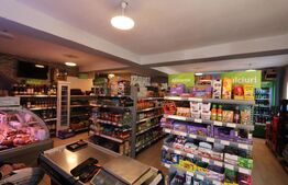 Spațiu comercial + teren, 163 mp utili, 983 mp, Mătăsaru/Poroinica