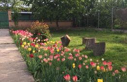 Oază de Liniște în Inima Orașului: Proprietate Exclusivistă cu 2.700 mp Teren 