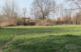 Oază de Liniște în Inima Orașului: Proprietate Exclusivistă cu 2.700 mp Teren 