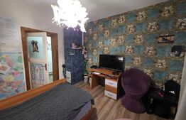 Oază de Liniște în Inima Orașului: Proprietate Exclusivistă cu 2.700 mp Teren 