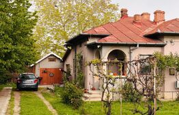 Casă spațioasă + teren 2700 mp în zona Găești  3 dormitoare, garaj + solar 