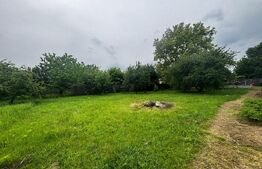 Oază de Liniște în Inima Orașului: Proprietate Exclusivistă cu 2.700 mp Teren 