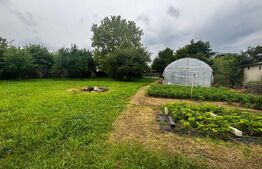 Casă spațioasă + teren 2700 mp în zona Găești  3 dormitoare, garaj + solar 
