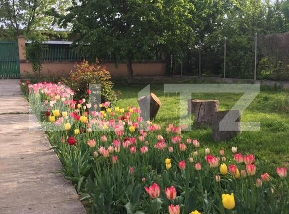 Casa de vânzare 4 camere Găeşti - 188395CV | BLITZ Târgoviște | Poza14