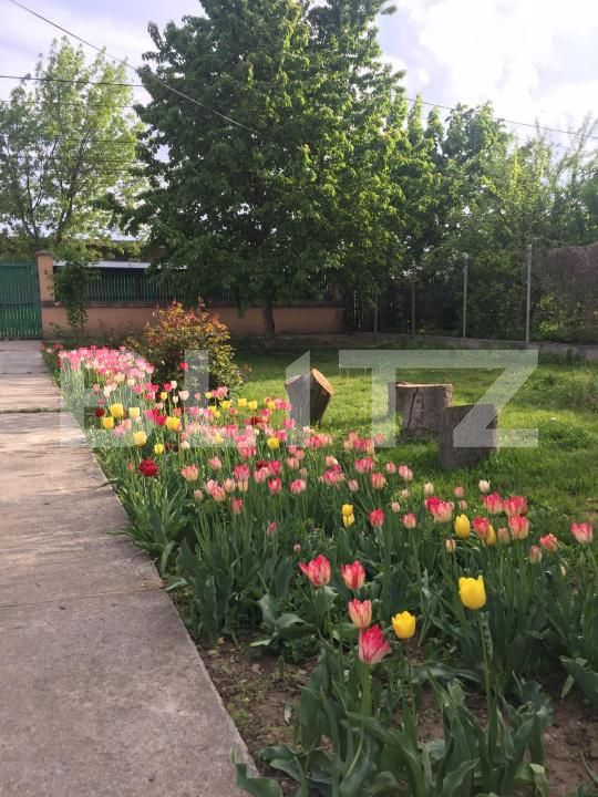 Casa de vânzare 4 camere Găeşti - 188395CV | BLITZ Târgoviște | Poza14