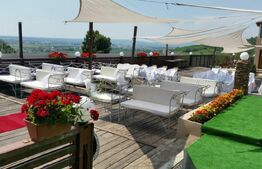 Centru Comercial, 293 mp, Aleea Mănăstirea Dealu