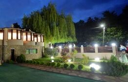 Centru Comercial, 293 mp, Aleea Mănăstirea Dealu