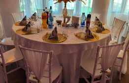 Centru Comercial, 293 mp, Aleea Mănăstirea Dealu