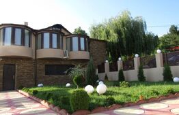 Centru Comercial, 293 mp, Aleea Mănăstirea Dealu