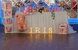 Centru Comercial, 293 mp, Aleea Mănăstirea Dealu