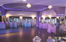 Centru Comercial, 293 mp, Aleea Mănăstirea Dealu