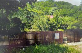 Casă 70 mp– Valea Caselor, Dâmbovița