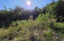 Casă 70 mp– Valea Caselor, Dâmbovița