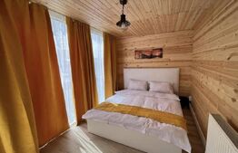 Complex turistic de vânzare – Iedera, Dâmbovița