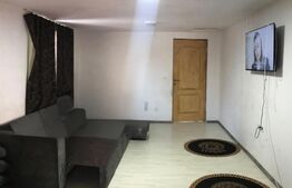 Casă cu Teren Generos Lângă Titu, Braniștea - 1.200 mp, Curte Amenajată 