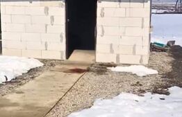 Casă cu Teren Generos Lângă Titu, Braniștea - 1.200 mp, Curte Amenajată 