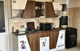 Casă cu Teren Generos Lângă Titu, Braniștea - 1.200 mp, Curte Amenajată 