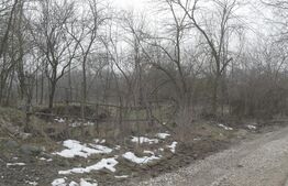 Teren de vanzare, 3470 mp, zona Ocnița 