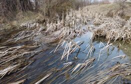 Teren de vanzare, 3470 mp, zona Ocnița 