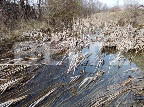 Teren de vânzare Exterior Vest - 189253TV | BLITZ Târgoviște | Poza5