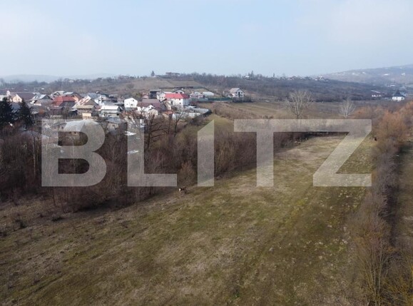 Teren de vânzare Exterior Vest - 189253TV | BLITZ Târgoviște | Poza10