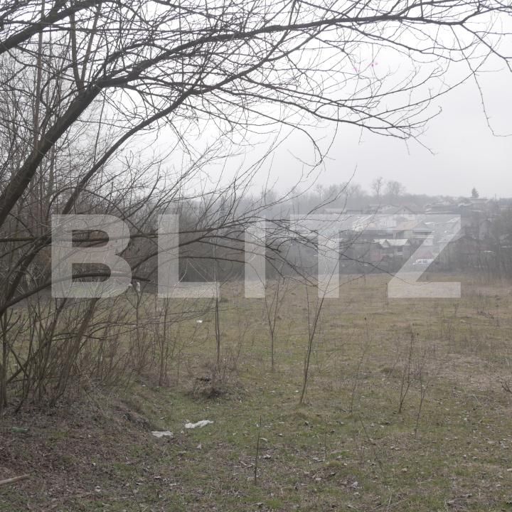 Teren de vânzare Exterior Vest - 189253TV | BLITZ Târgoviște | Poza3