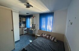 Garsoniera de inchiriat, 20 mp, zona Micro 9