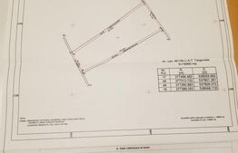 Teren Extravilan, 19.800 mp, Dambovita Mall 