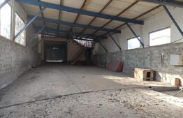 Proprietate Mixtă cu Hală de Producție și Locuință – Deschidere DN71,- Fieni