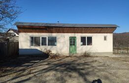 Proprietate Mixtă cu Hală de Producție și Locuință – Deschidere DN71,- Fieni