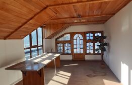 Proprietate Mixtă cu Hală de Producție și Locuință – Deschidere DN71,- Fieni