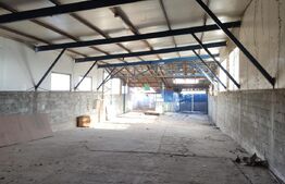 Proprietate Mixtă cu Hală de Producție și Locuință – Deschidere DN71,- Fieni