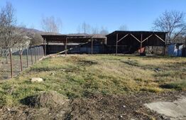 Proprietate Mixtă cu Hală de Producție și Locuință – Deschidere DN71,- Fieni