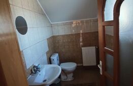 Proprietate Mixtă cu Hală de Producție și Locuință – Deschidere DN71,- Fieni