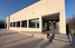 Spațiu 245 mp cu 10 parcări, curte logistică și rampă marfă – DN Raciu