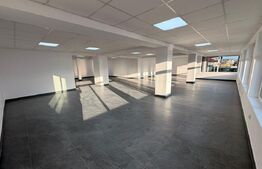 Spațiu 245 mp cu 10 parcări, curte logistică și rampă marfă – DN Raciu