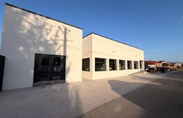 Spațiu 245 mp cu 10 parcări, curte logistică și rampă marfă – DN Raciu