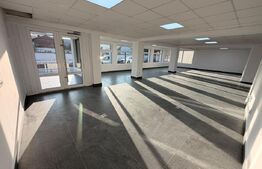 Spațiu 245 mp cu 10 parcări, curte logistică și rampă marfă – DN Raciu