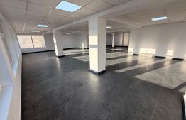 Spațiu 245 mp cu 10 parcări, curte logistică și rampă marfă – DN Raciu