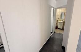 Spațiu 245 mp cu 10 parcări, curte logistică și rampă marfă – DN Raciu