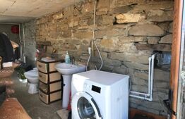 Casă Spațioasă cu 1.250 mp Teren, Mobilată și Utilată – Aproape de Munte