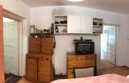 Apartament la casă, zonă Ultracentrală – Calea Domnească 